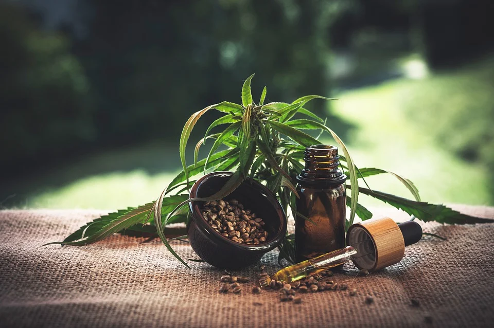 Find the best CBD products for your everyday life