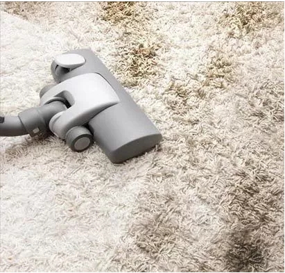 carpet cleaning