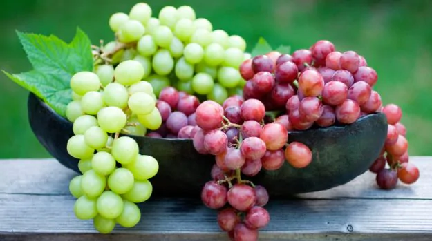 The health benefits of grapes are effective for men