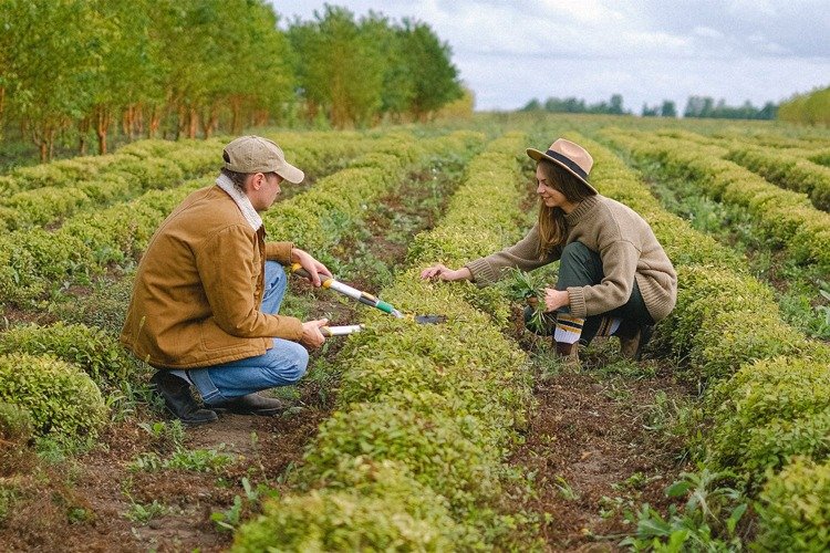 Start Gardening