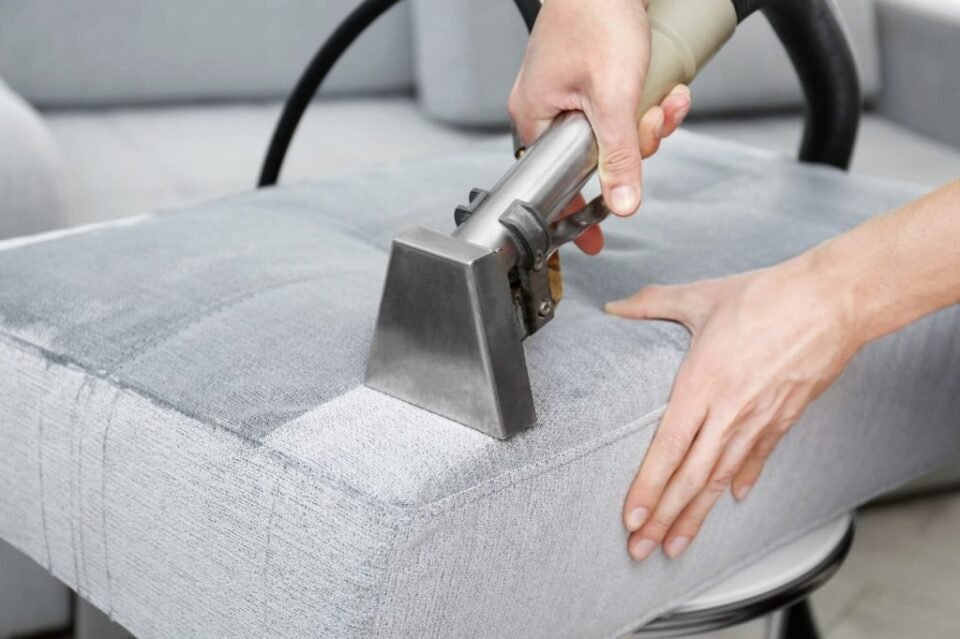 Experience Spotless Cleanliness With Mossman’s Premier Upholstery Cleaning Company