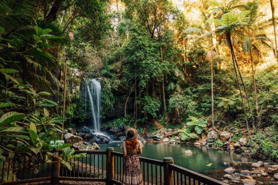 Mount Tamborine, Queensland - Embrace the Tranquil Beauty